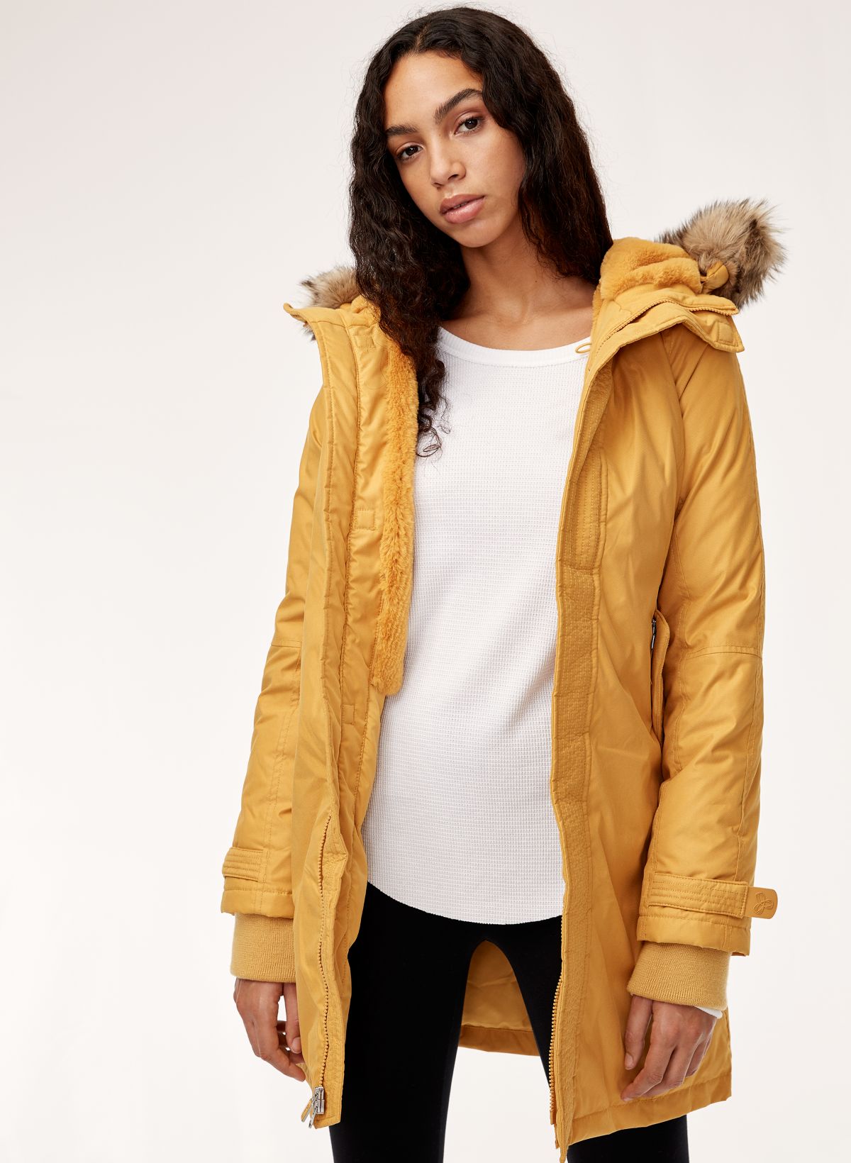 Aritzia on sale summit parka