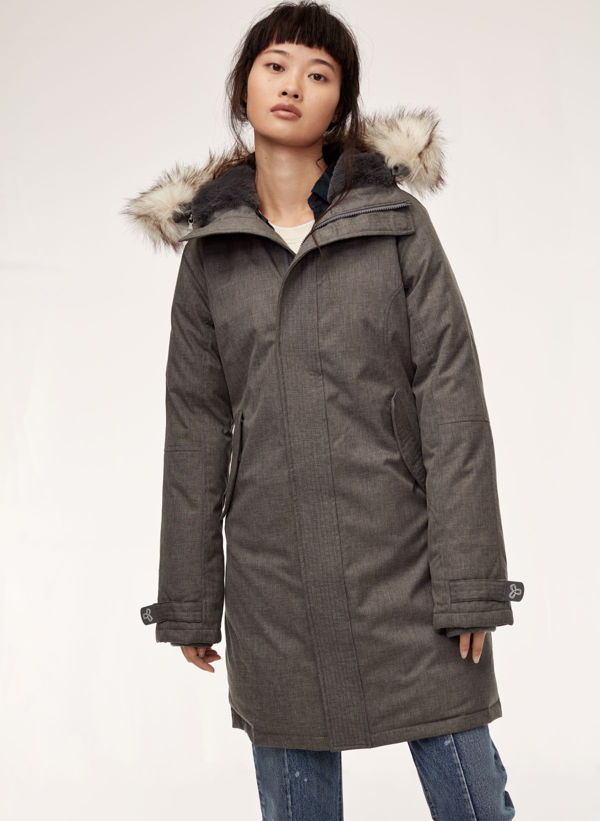 Aritzia store summit parka