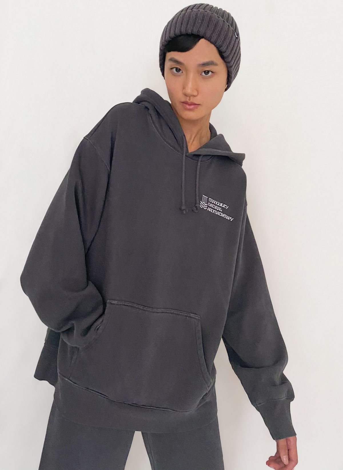 aritzia boyfriend hoodie