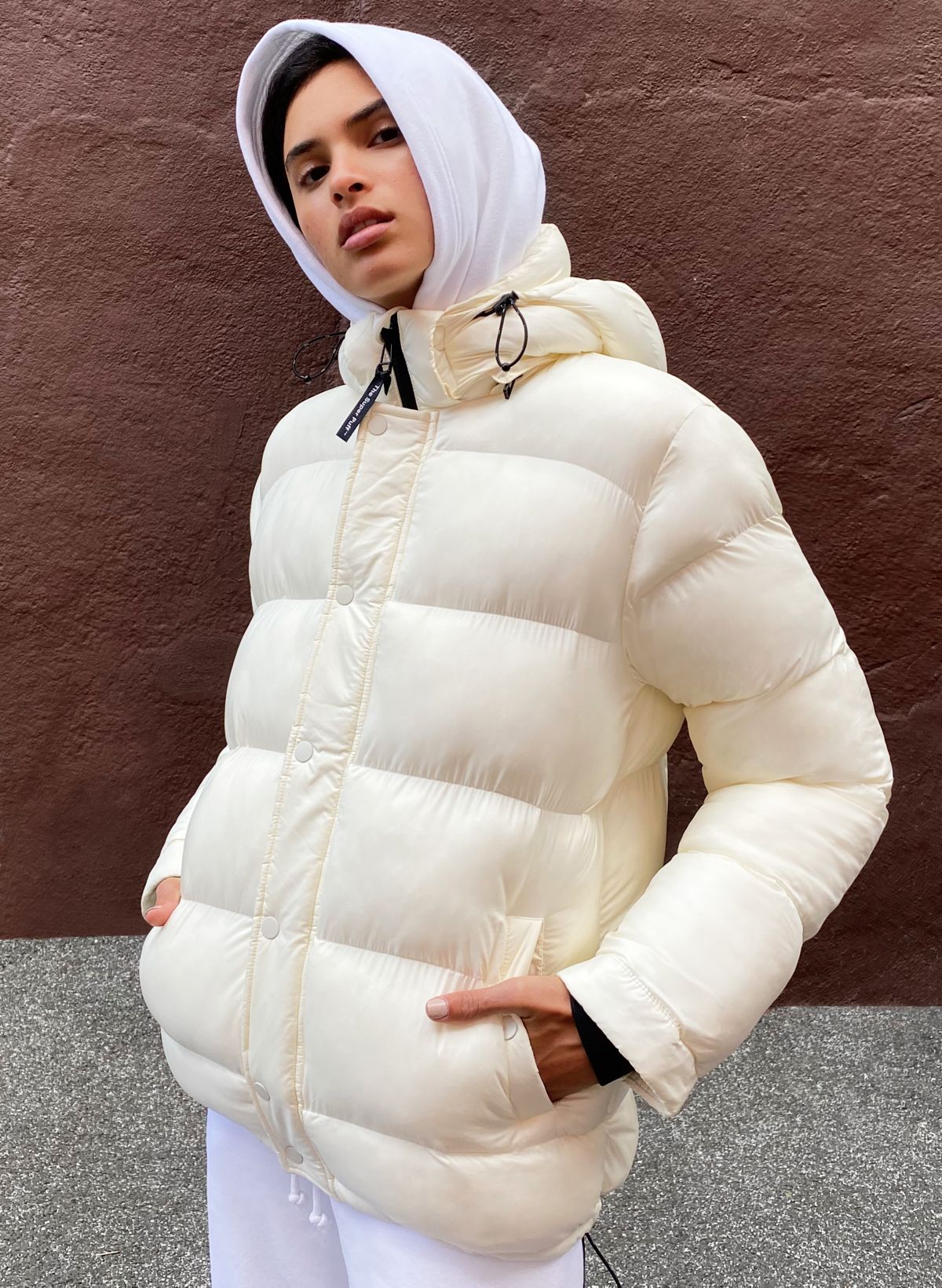 Aritzia store vegan puffer