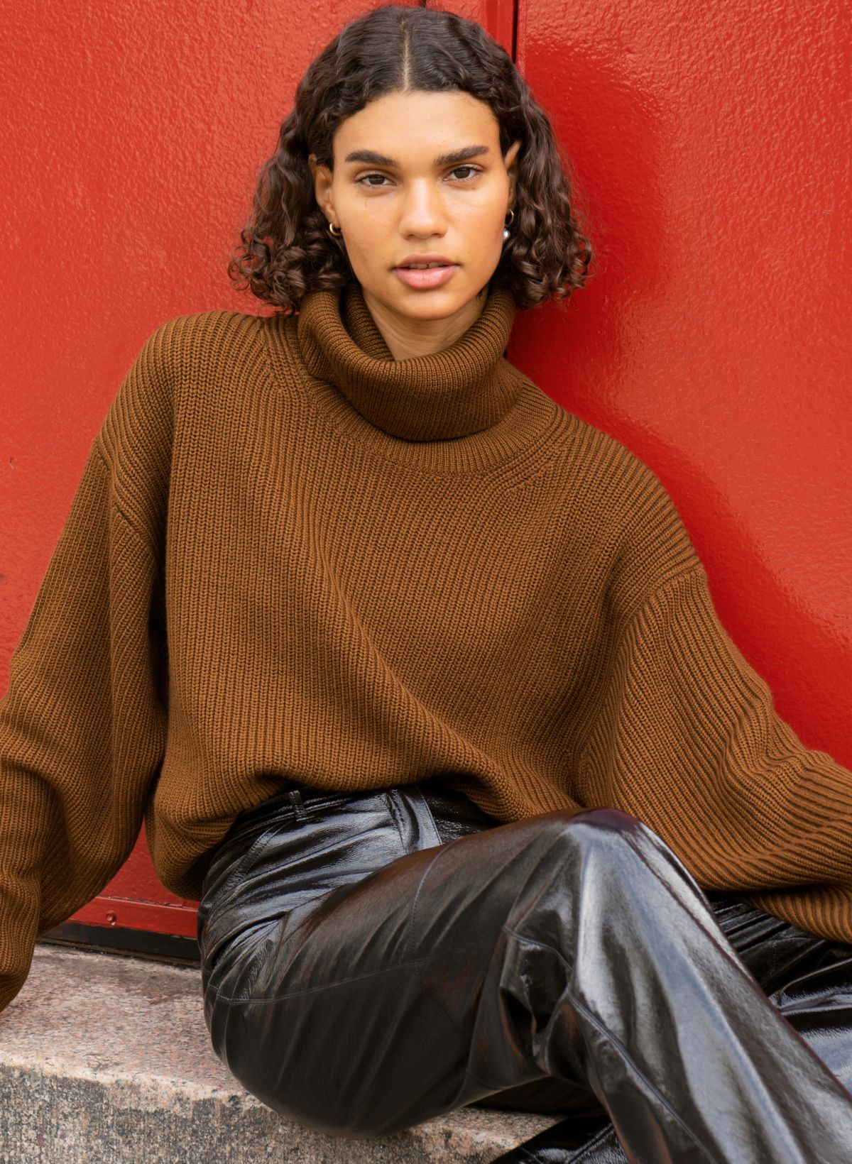 Aritzia turtleneck shop sweater