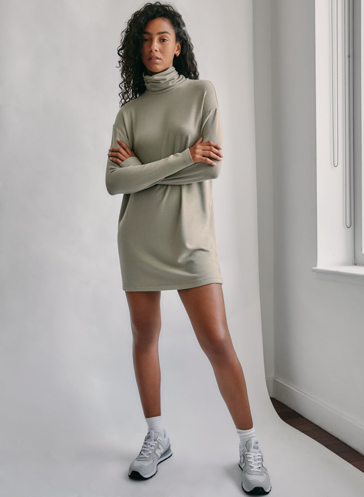 Aritzia turtleneck cheap dress