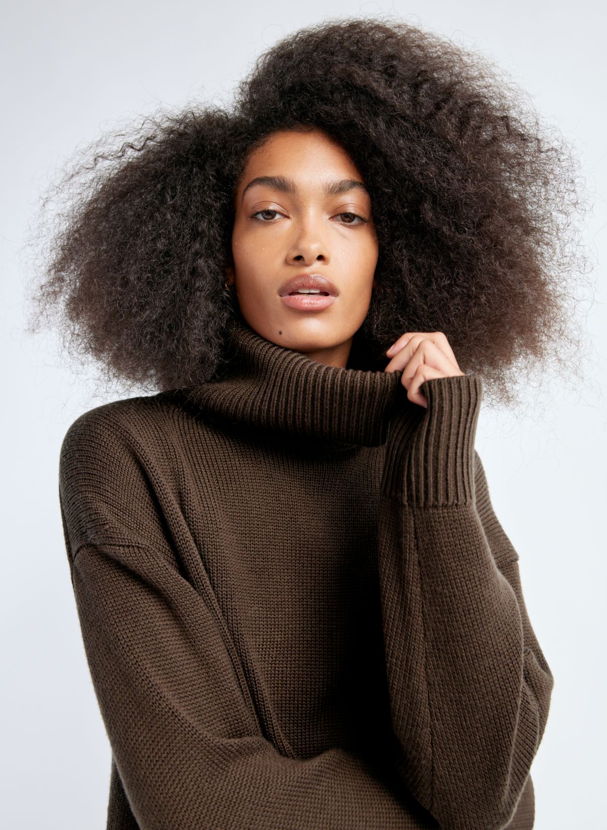 The Merino Turtleneck