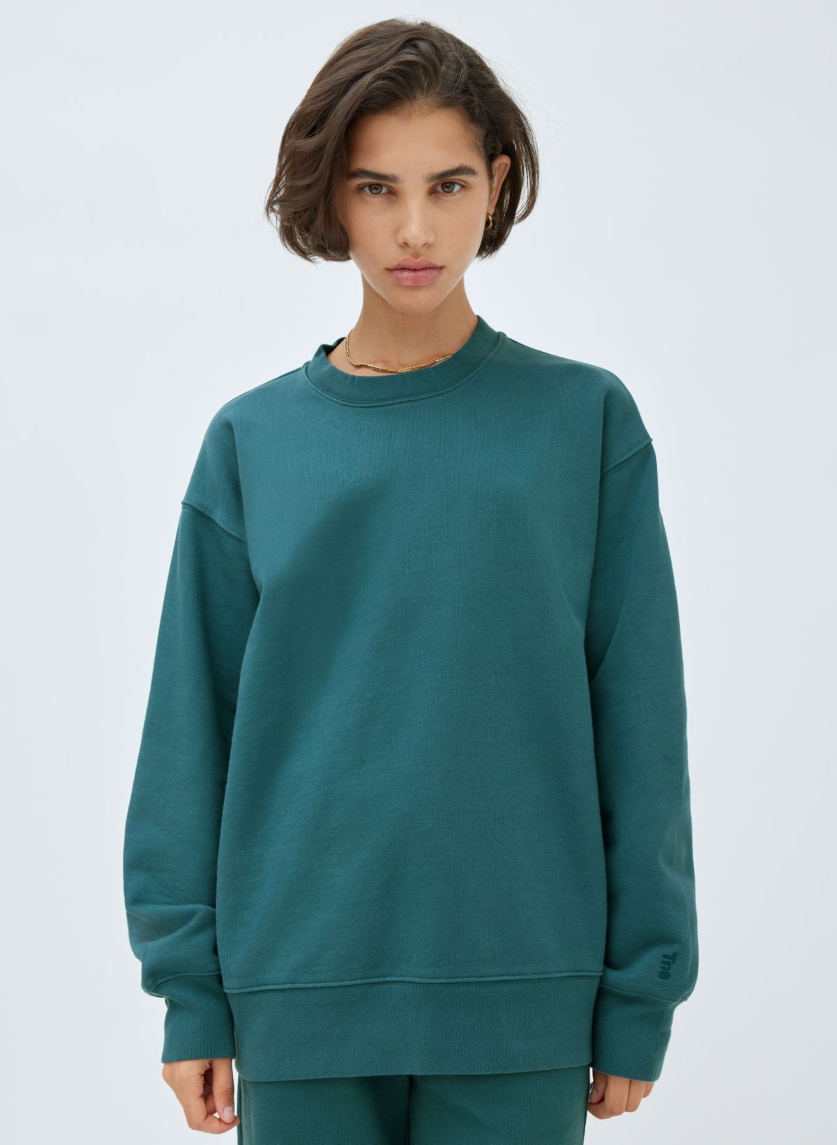 Aritzia discount crewneck sweatshirt