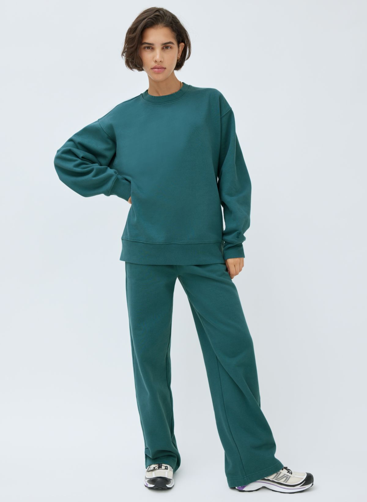 Skelne enhed At læse Tna EXTRA FLEECE BOYFRIEND CREW SWEATSHIRT | Aritzia US