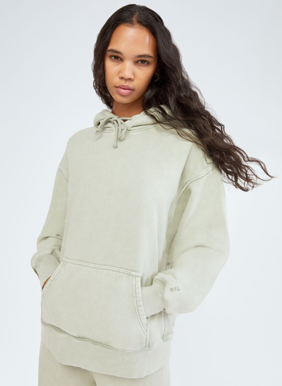 aritzia boyfriend hoodie