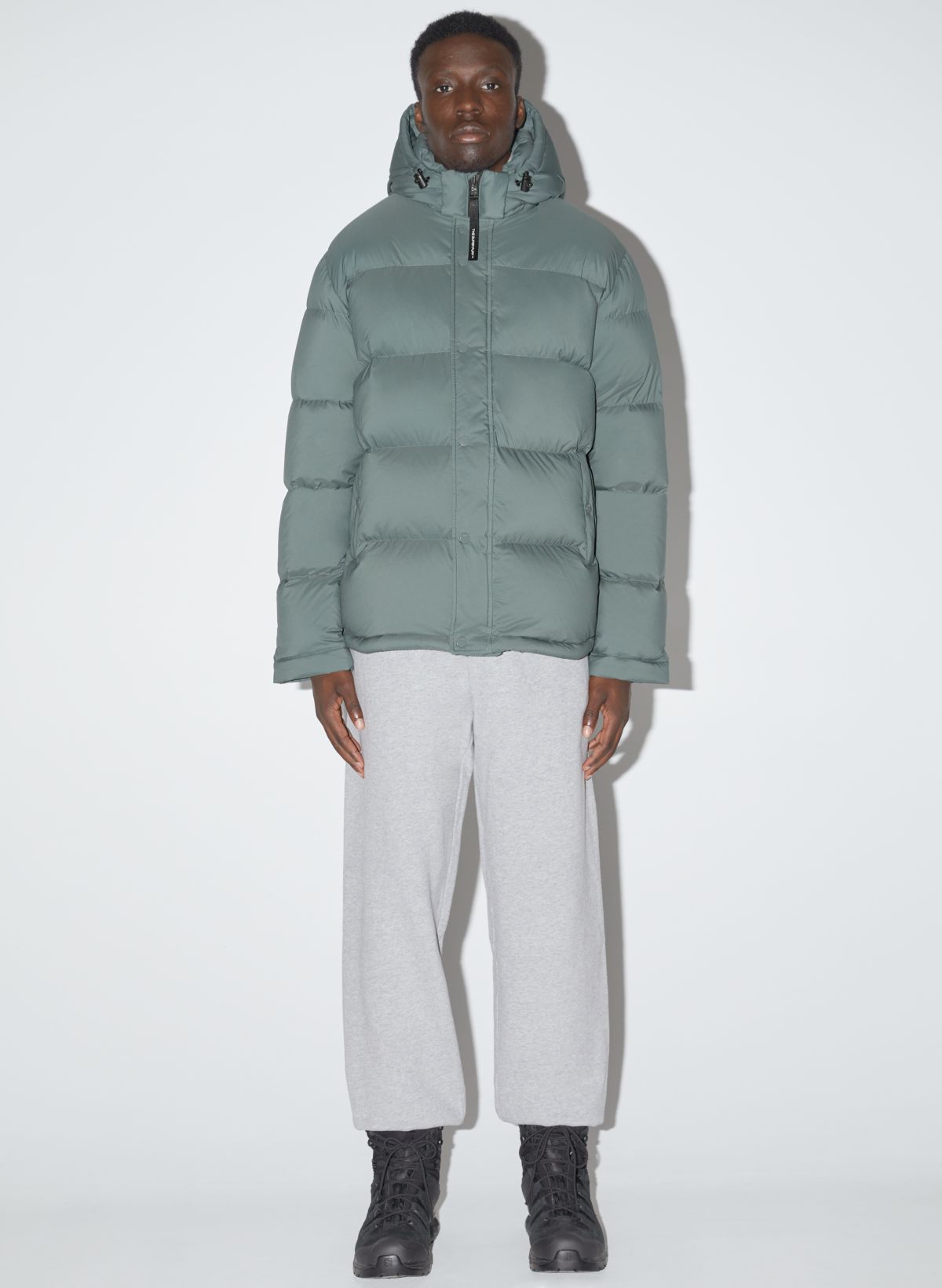 Aritzia hot sale down jacket