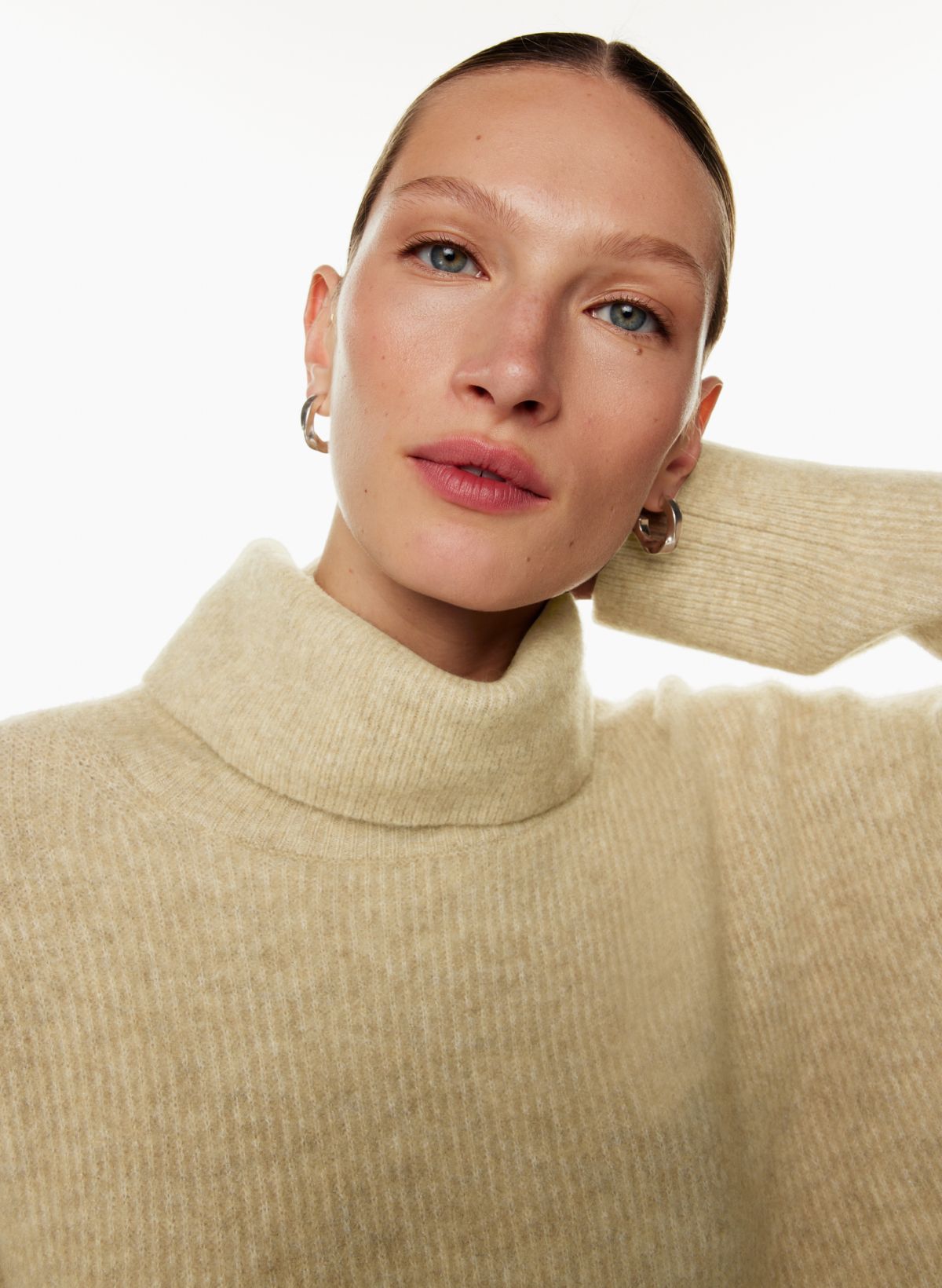 Aritzia turtleneck hot sale