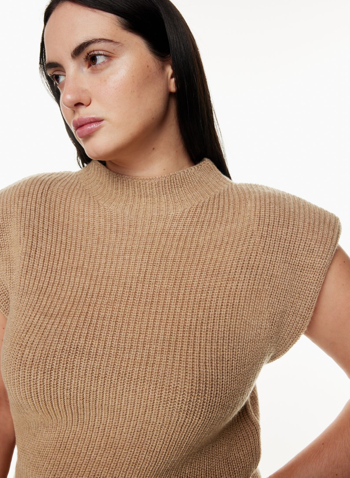 Babaton HAZLITT SWEATER VEST | Aritzia CA