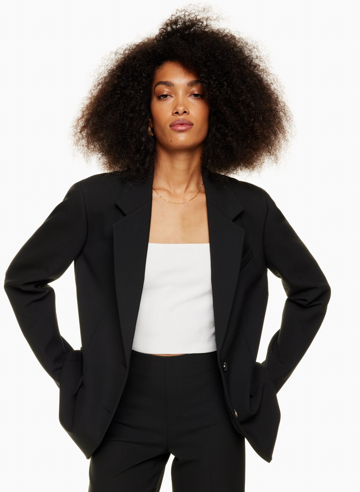 Wilfred HEARTBREAKER BLAZER | Aritzia US