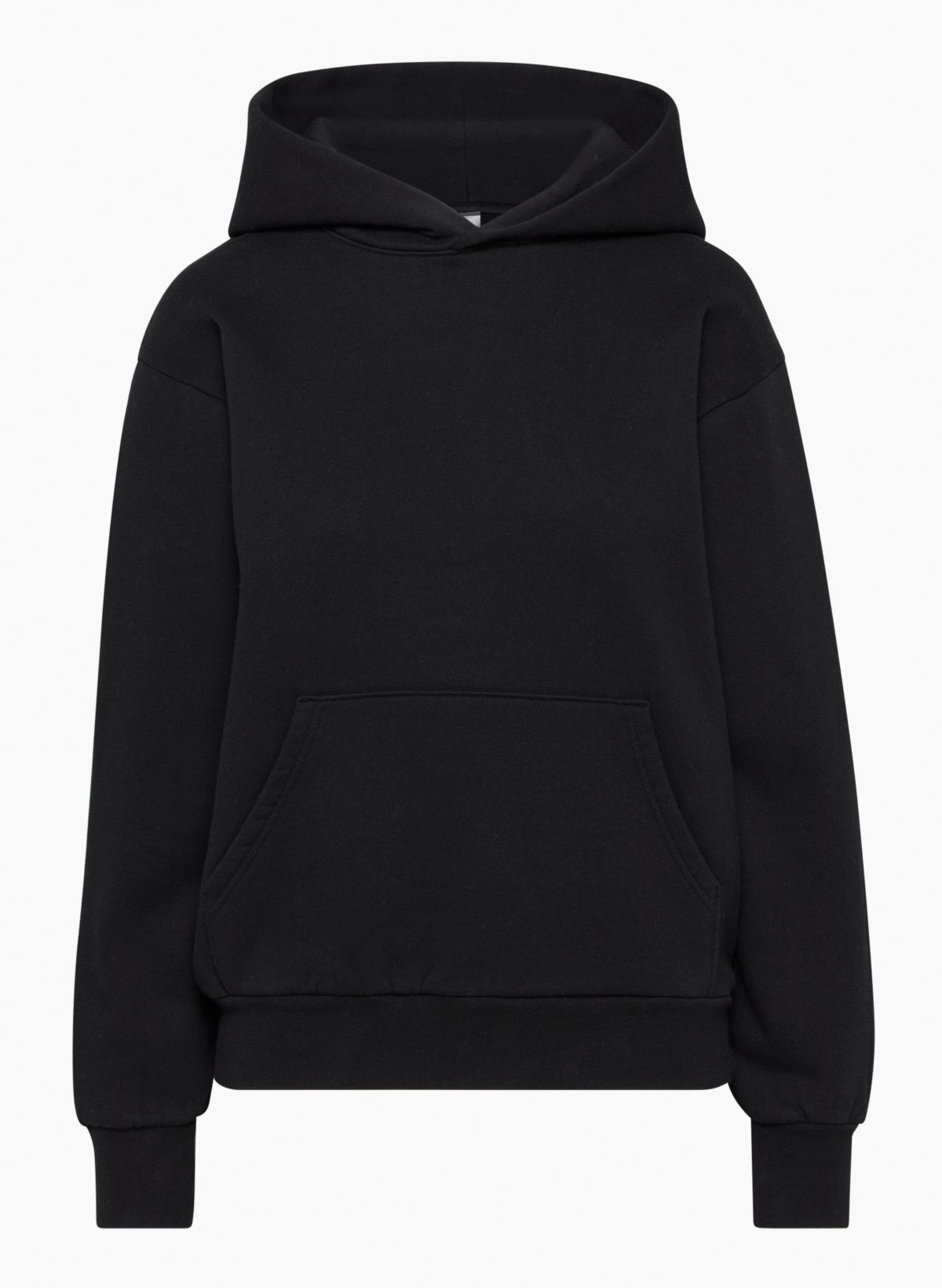 aritzia hoodie