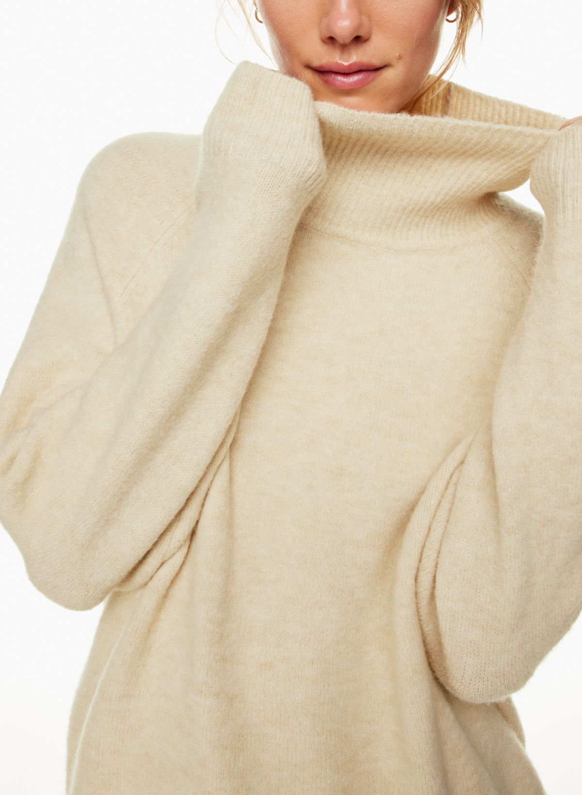 Aritzia turtleneck sale sweater