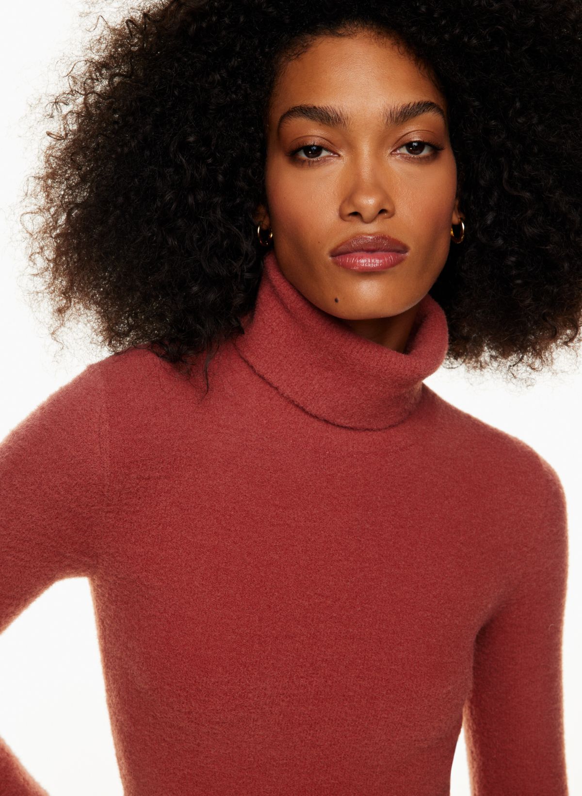 Wilfred Free MAXWELL HUSH KNIT TURTLENECK | Aritzia CA