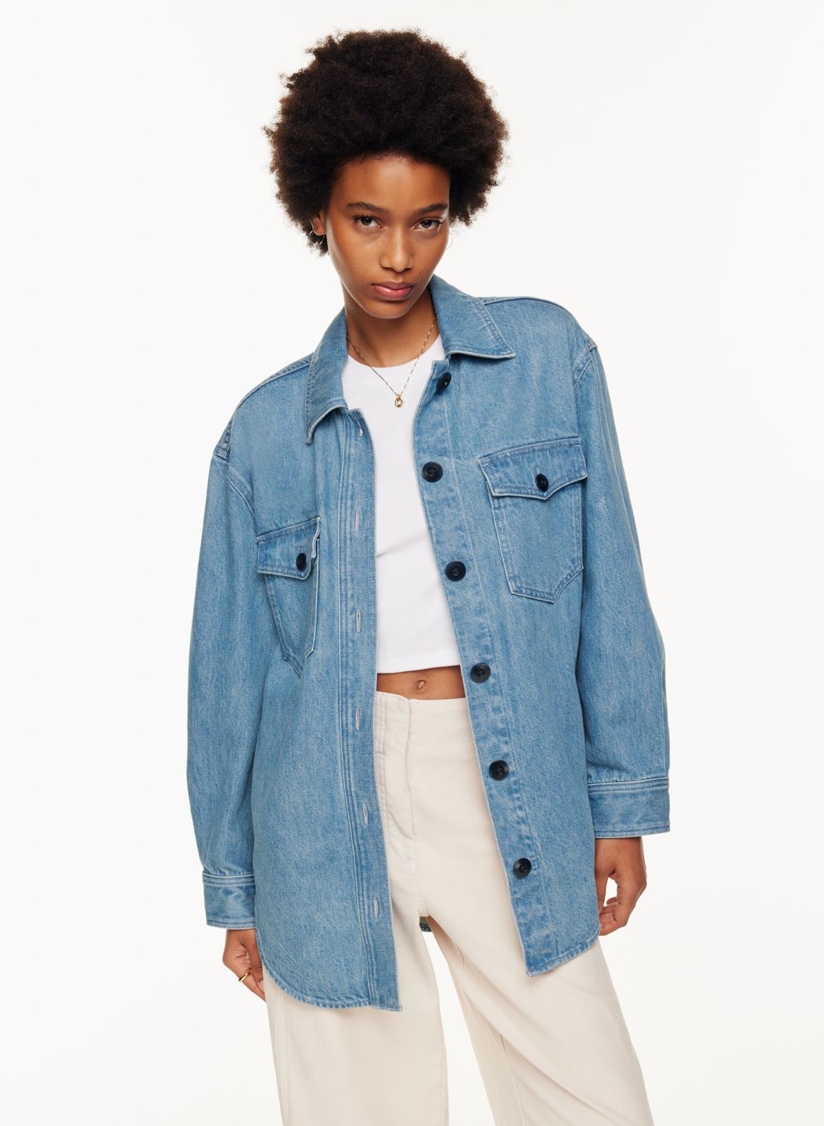 Aritzia 2025 denim jacket