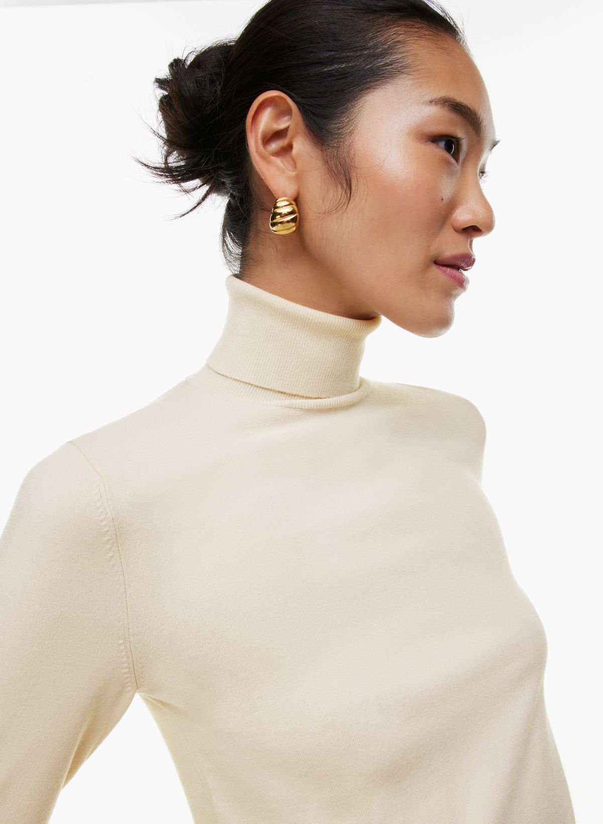 Babaton ILLUSTRATE TURTLENECK