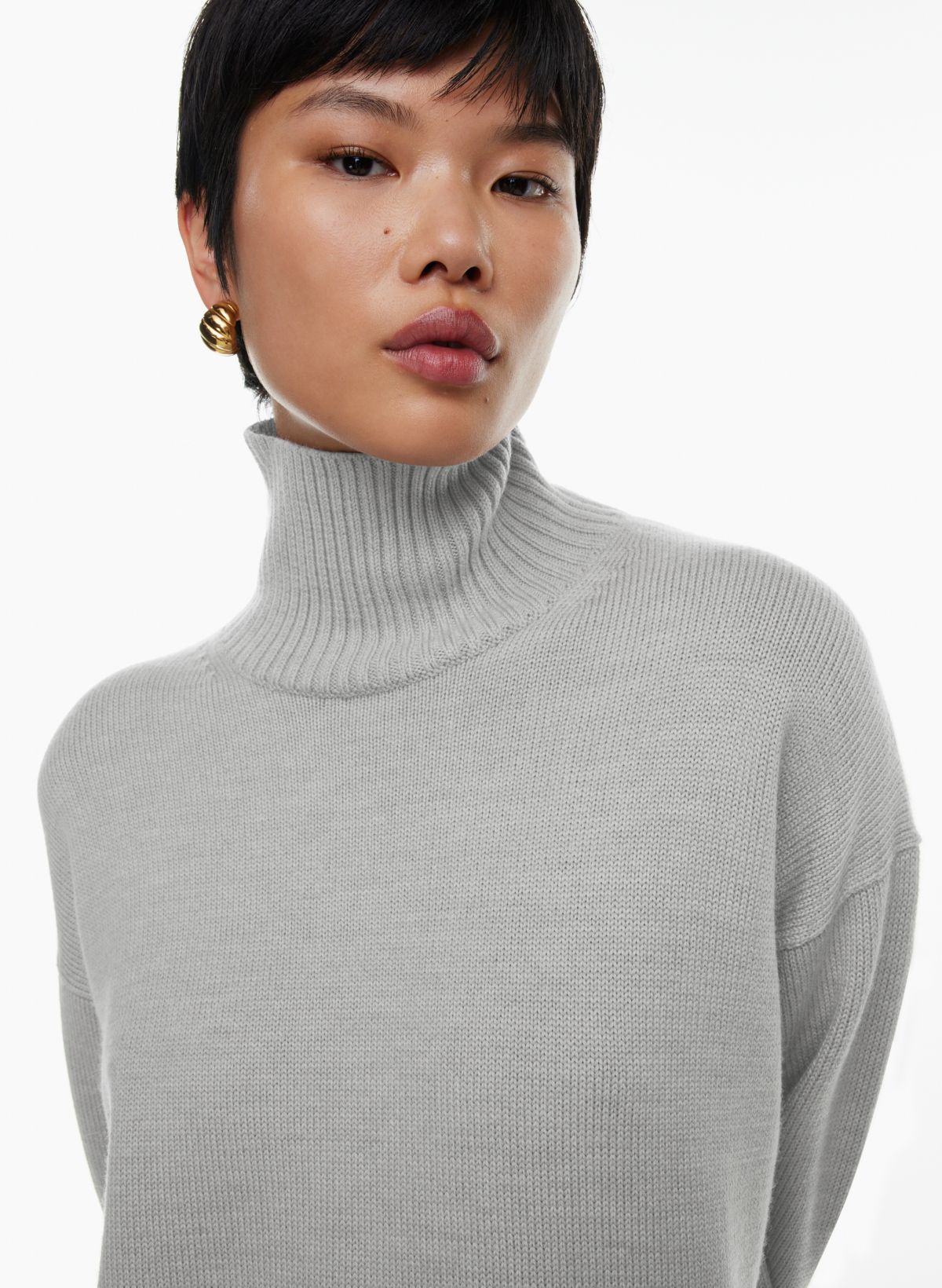 Babaton WEEKDAY TURTLENECK Aritzia US