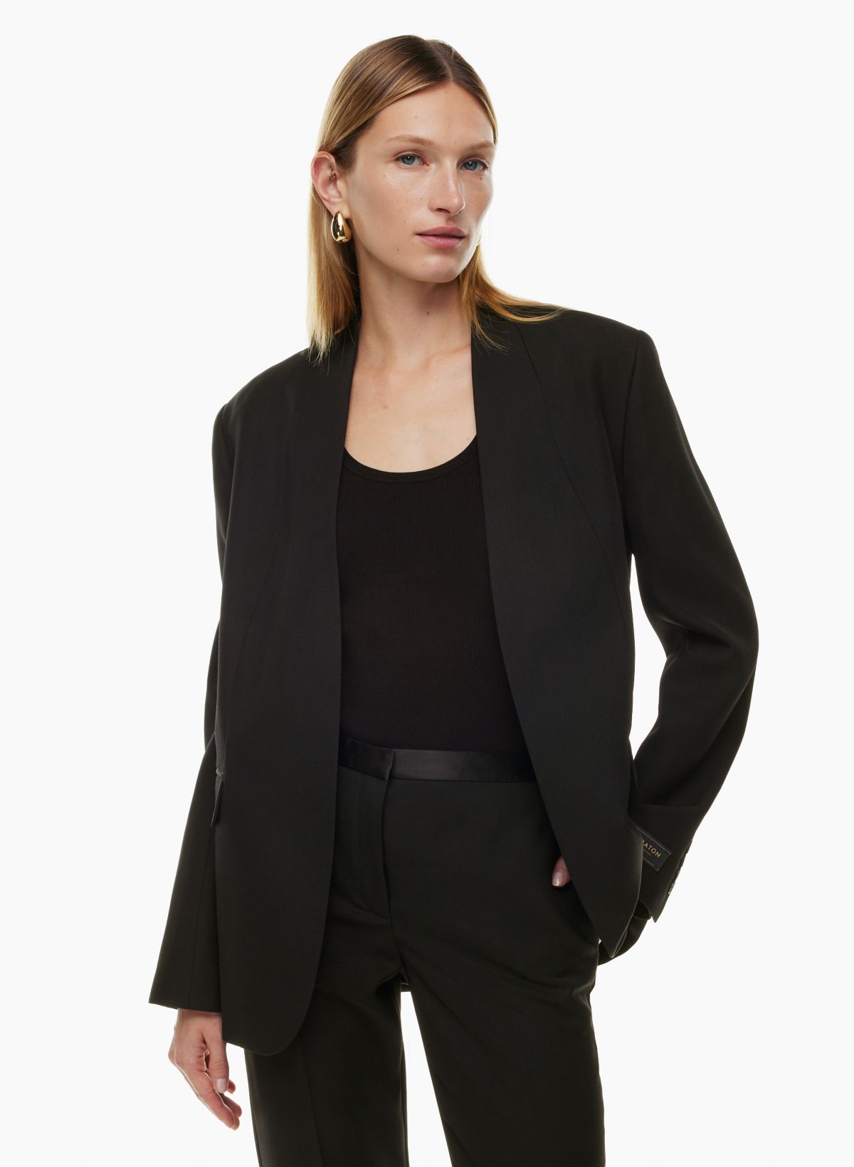 Babaton IDENTITY BLAZER | Aritzia US