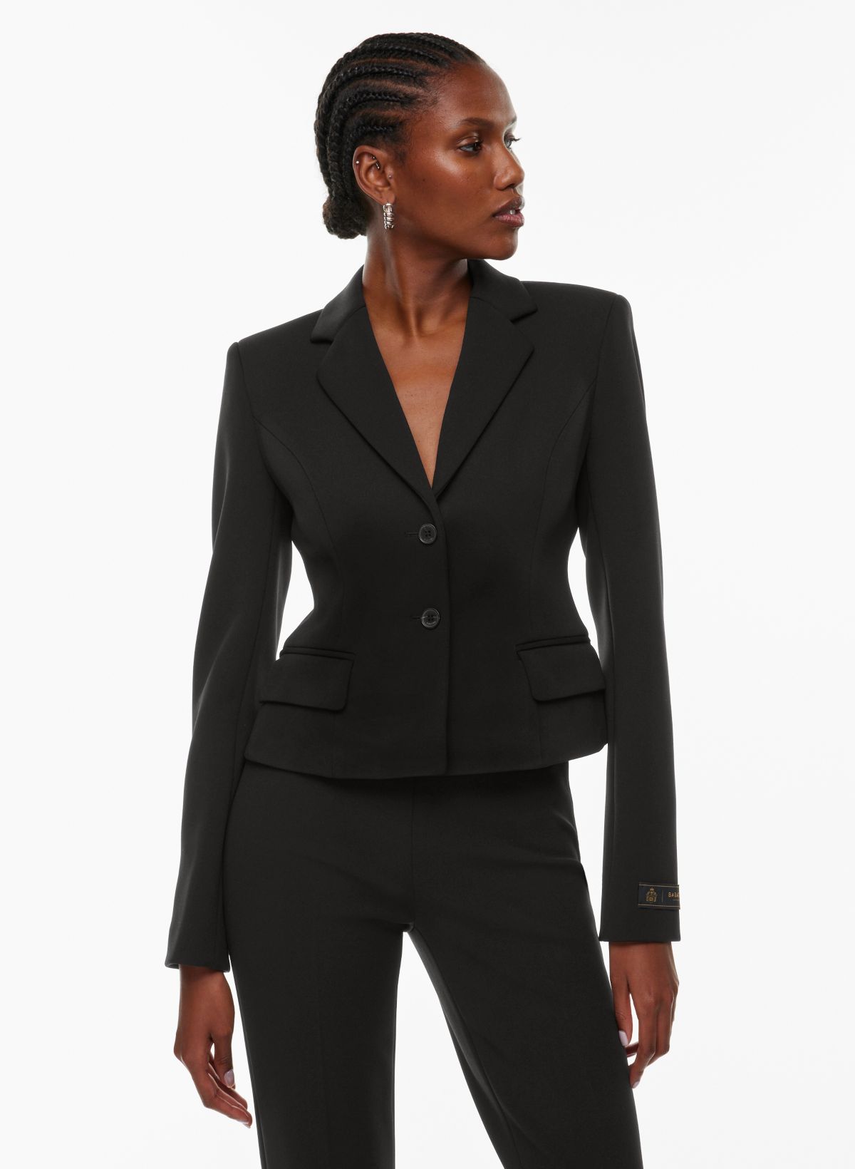 Babaton CURATE BLAZER | Aritzia CA