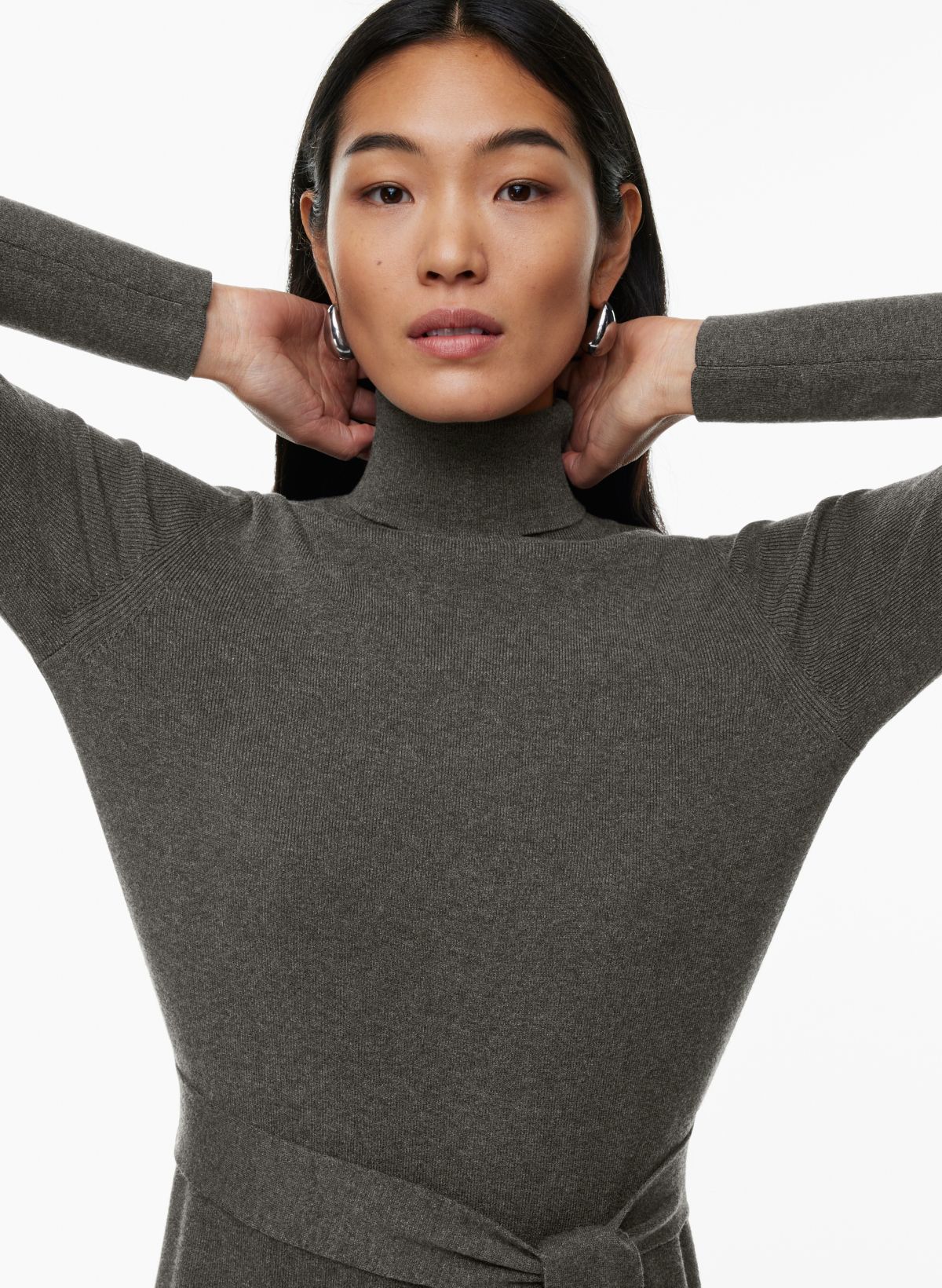 aritzia sweater dress