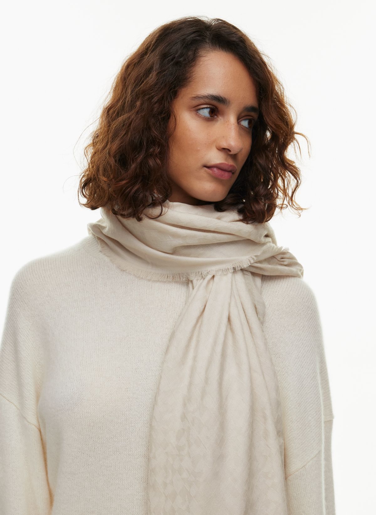 Fringed Cashmere Silk Scarf In Fig