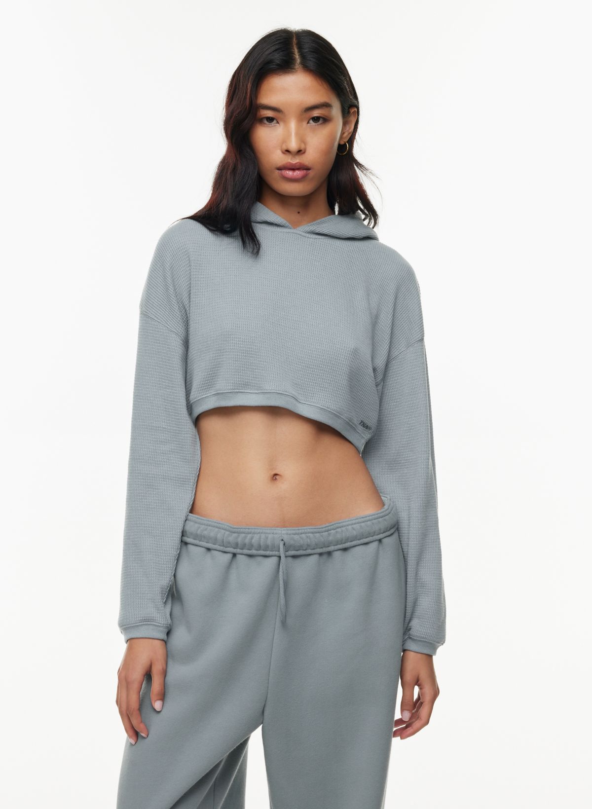 Cropped shop hoodie aritzia