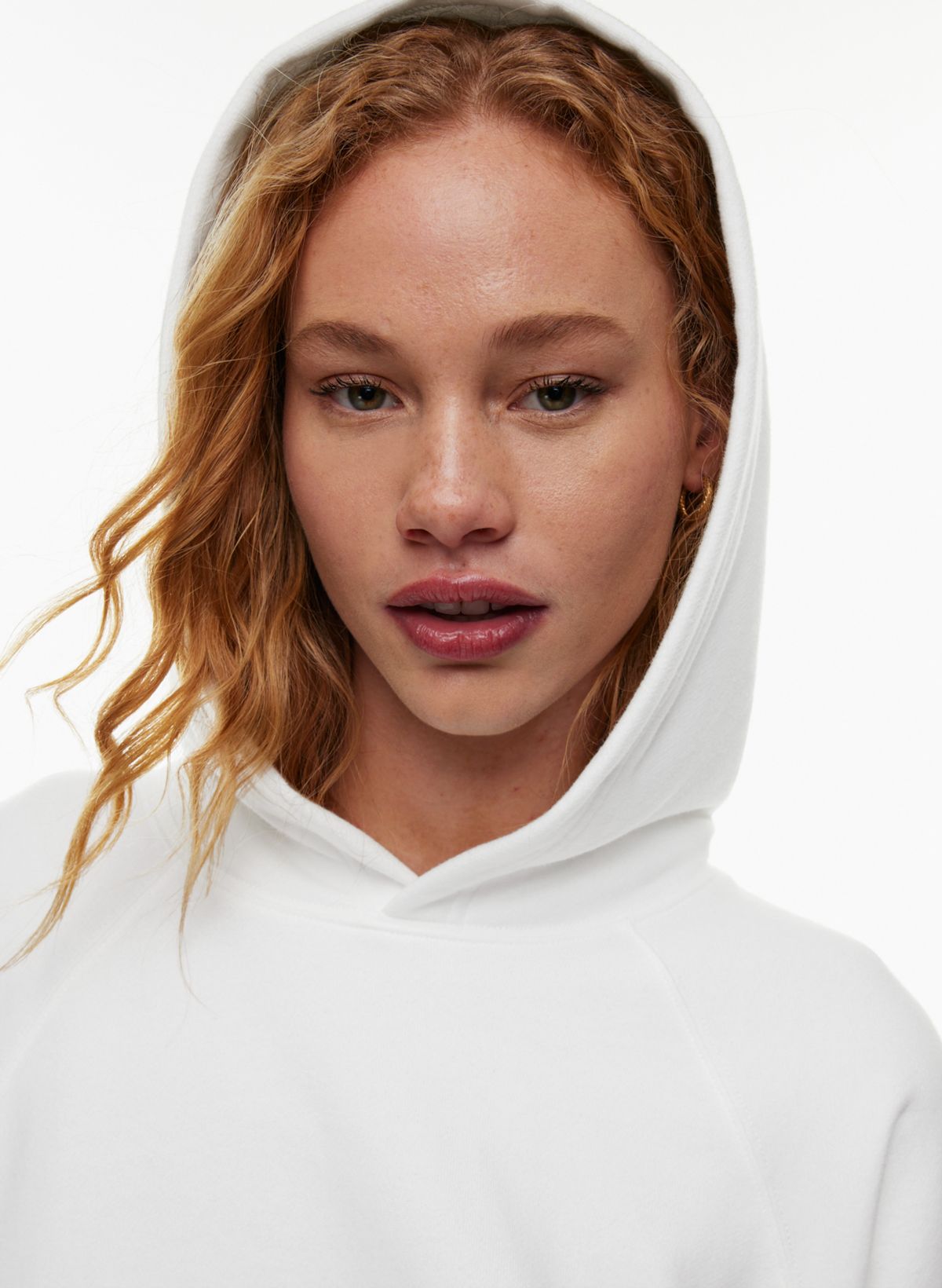 Aritzia 2024 hoodie tna