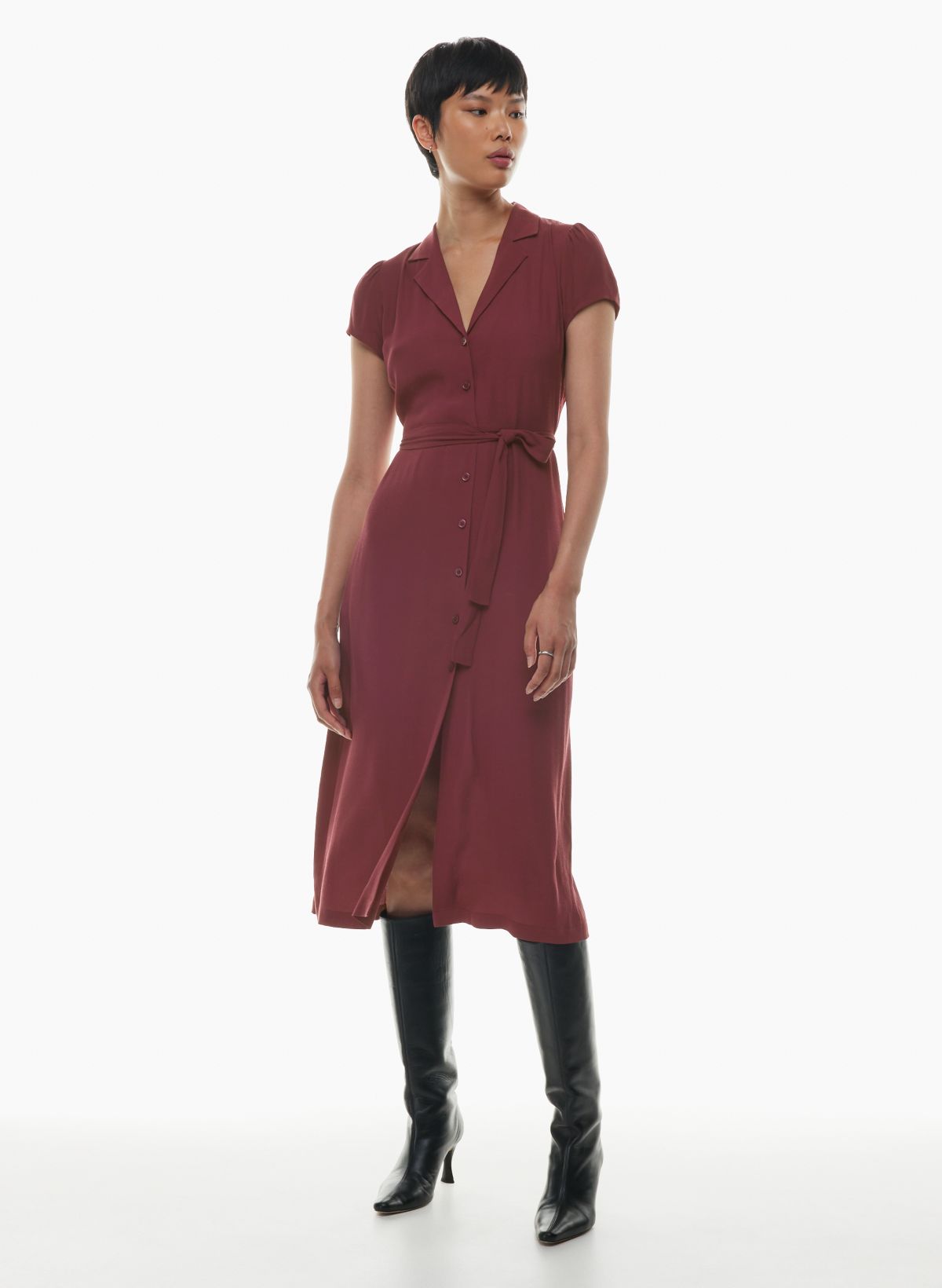 Aritzia day outlet dress