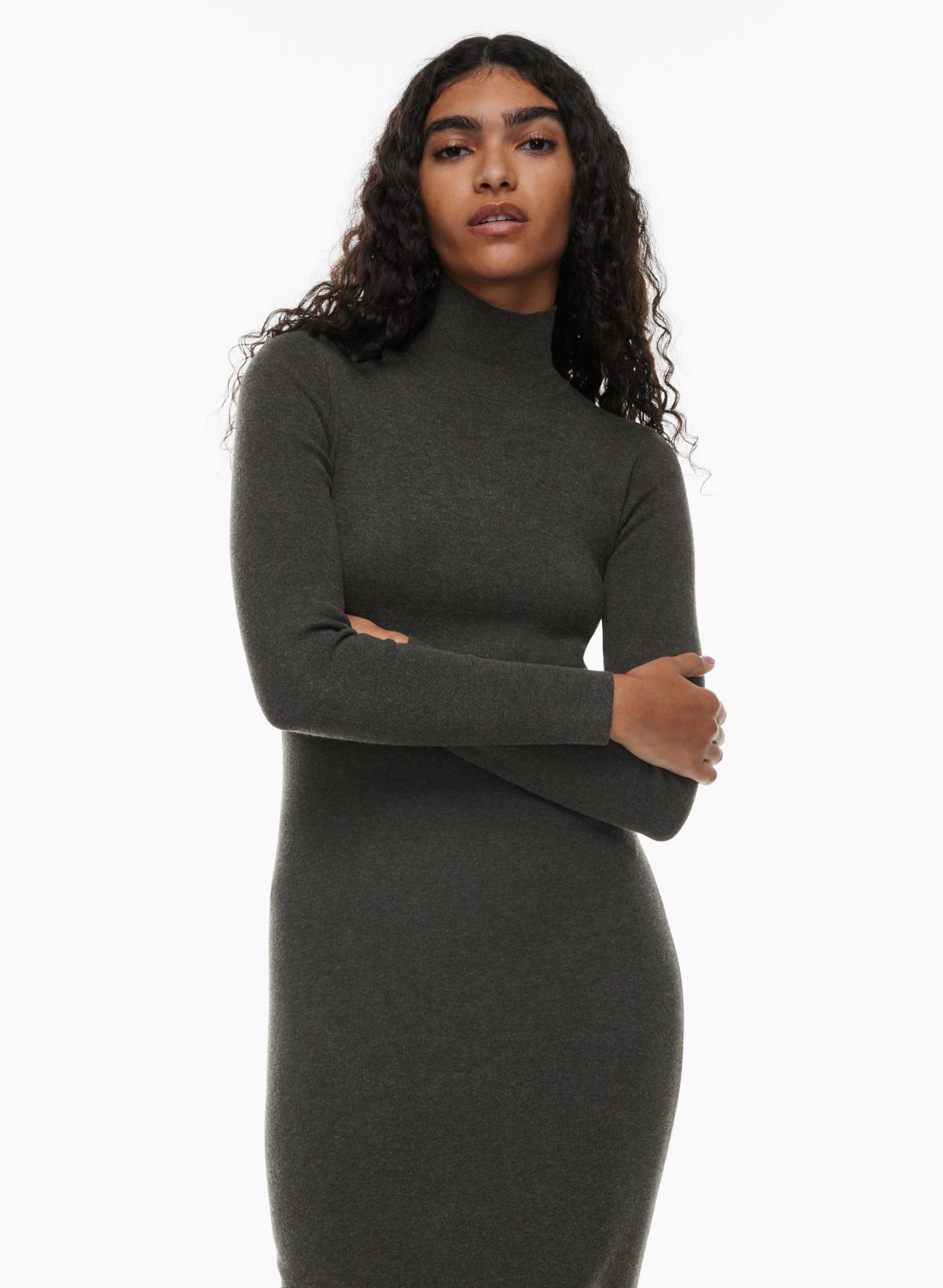 Aritzia turtleneck shop sweater dress