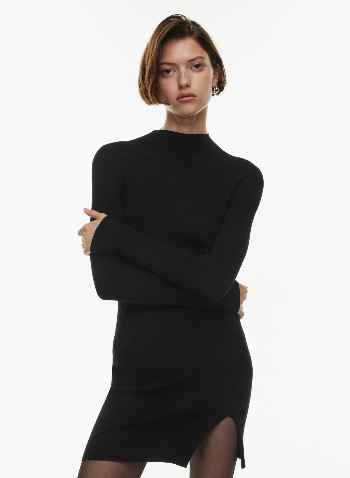 Aritzia shop turtleneck dress