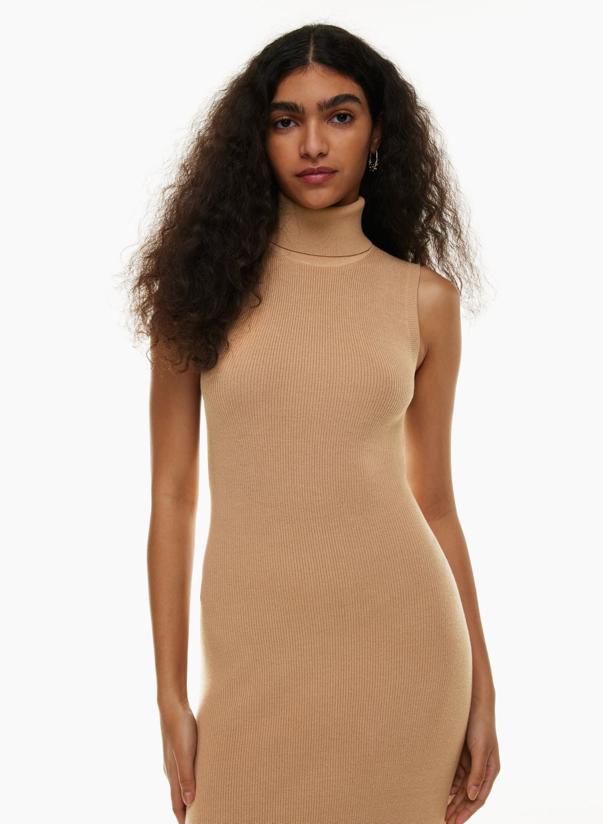 Aritzia turtleneck sweater outlet dress