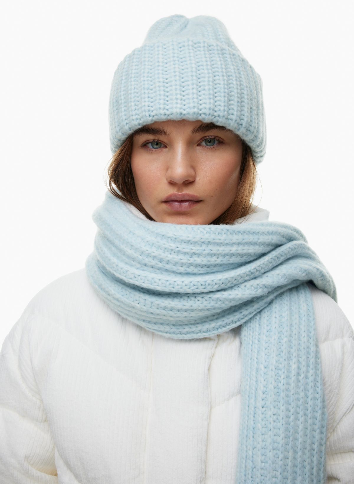 Wilfred WHISTLER BEANIE | Aritzia CA