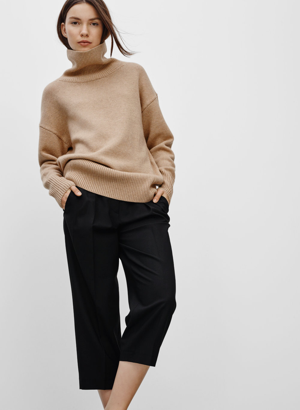 Babaton ALDRIK PANT | Aritzia CA