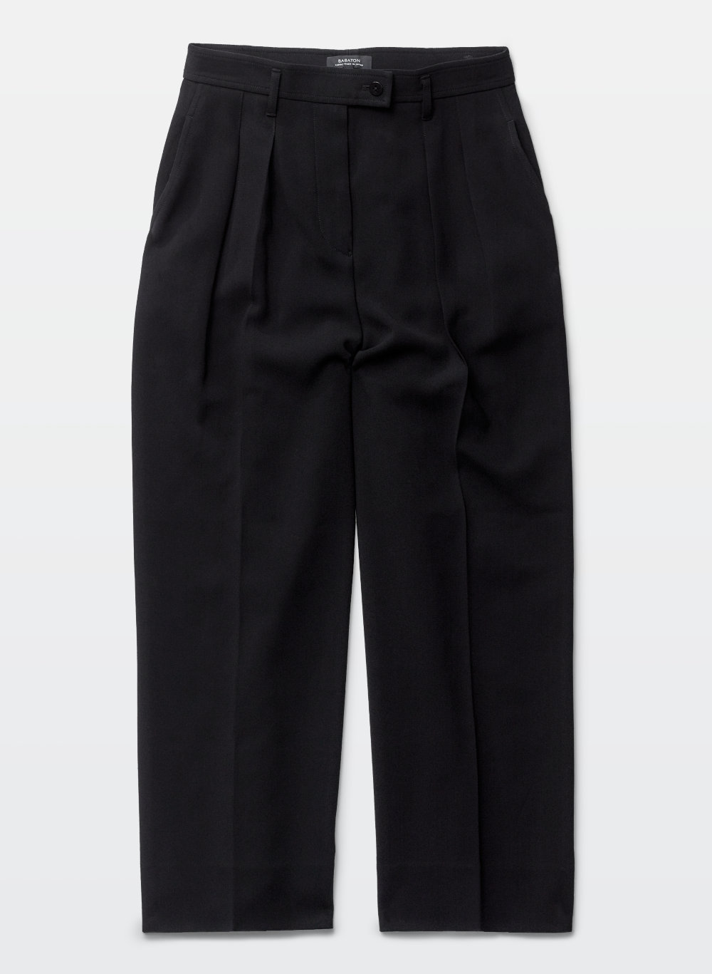 Babaton ECKHARDT PANT | Aritzia