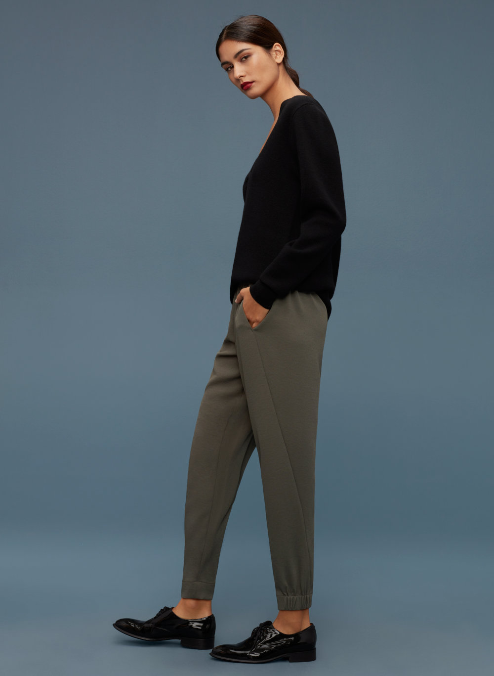 babaton aritzia pants