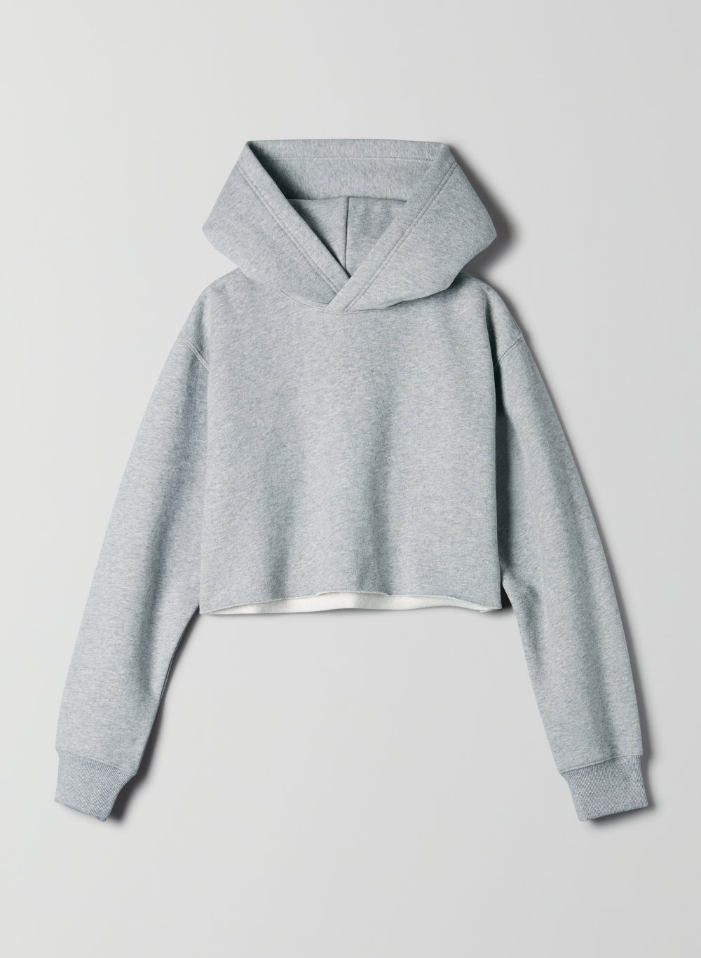 Tna PERFECT HOODIE CROP | Aritzia US