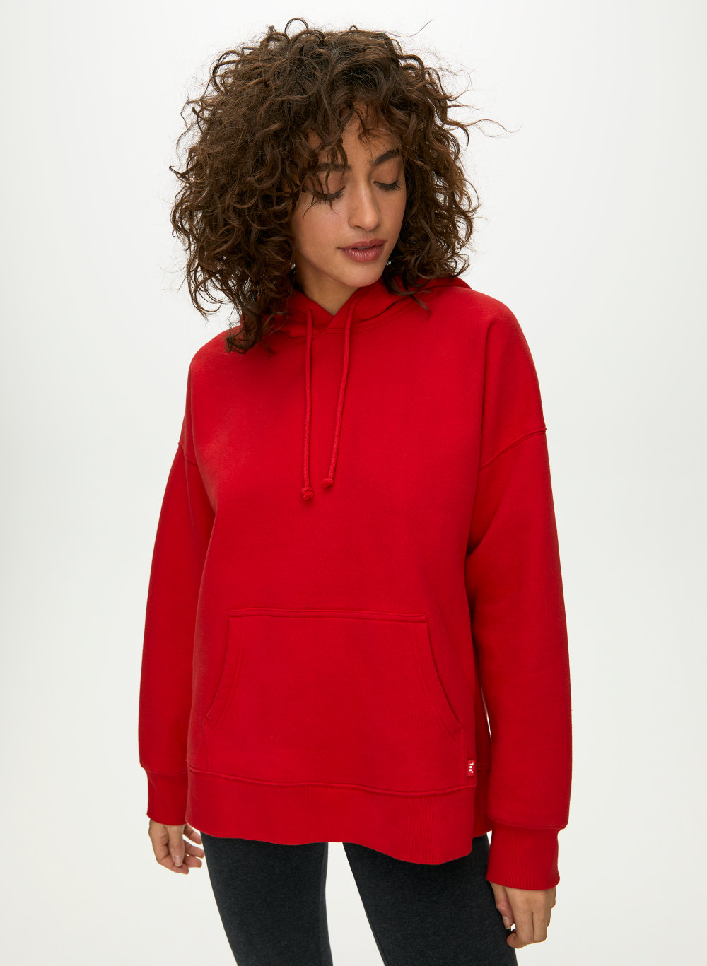aritzia boyfriend hoodie