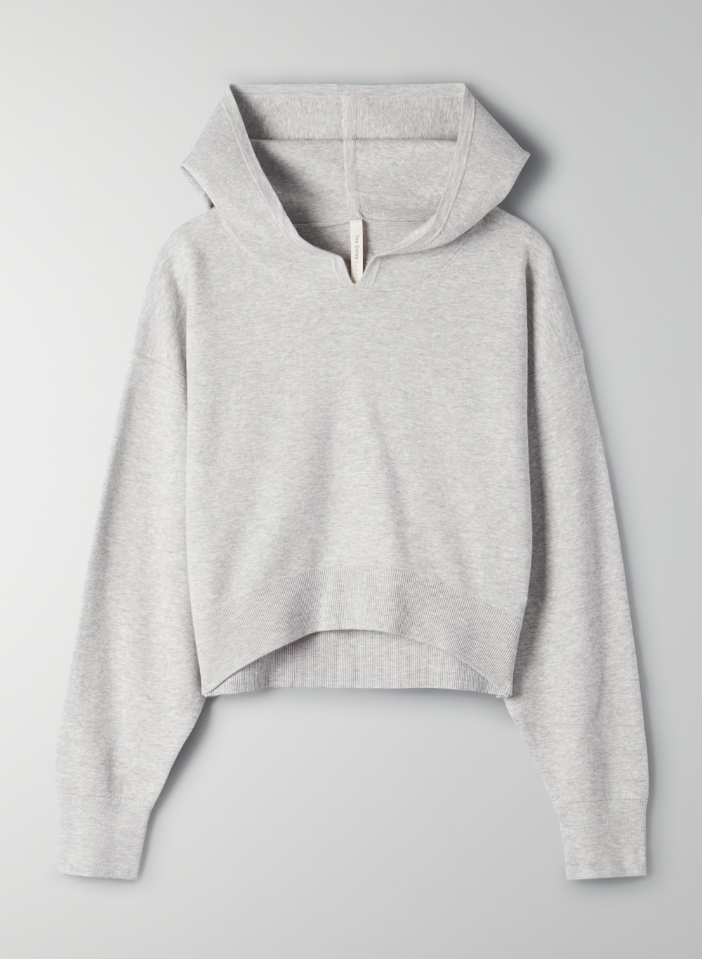 The Group by Babaton BRONTE HOODIE | Aritzia US