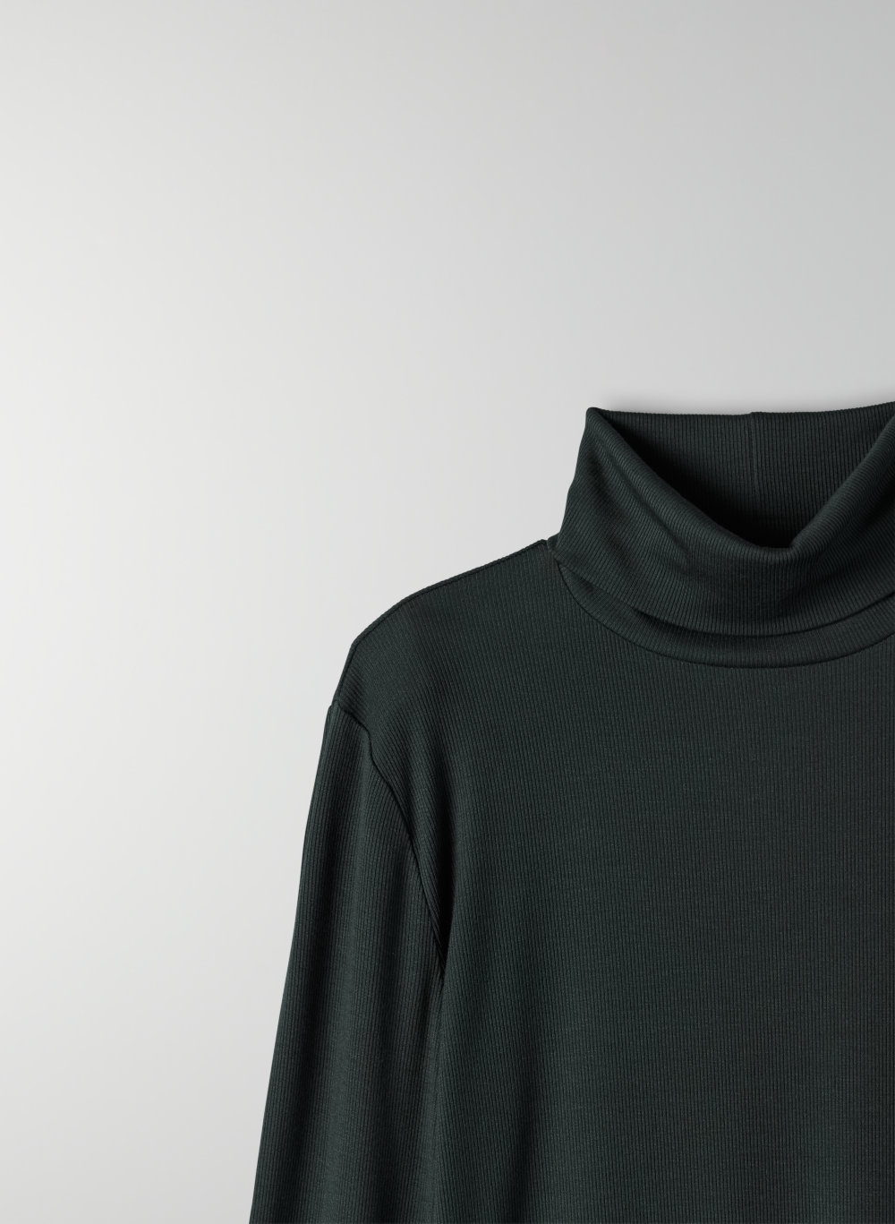 Sunday Best FRESHMAN TURTLENECK | Aritzia CA