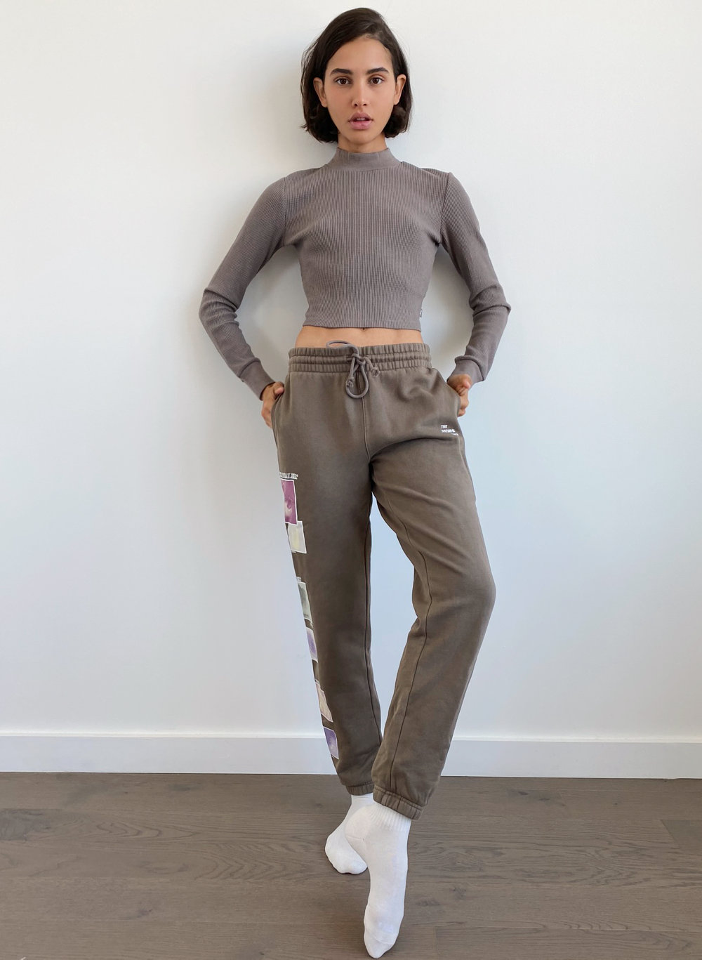 aritzia sweatpant