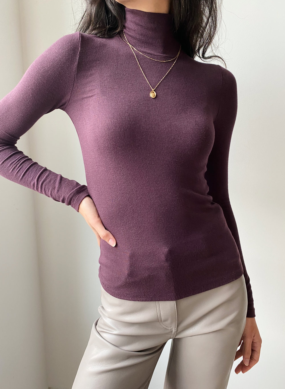 only turtleneck aritzia