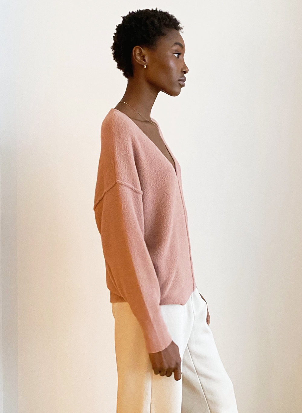 wilfred free v neck sweater