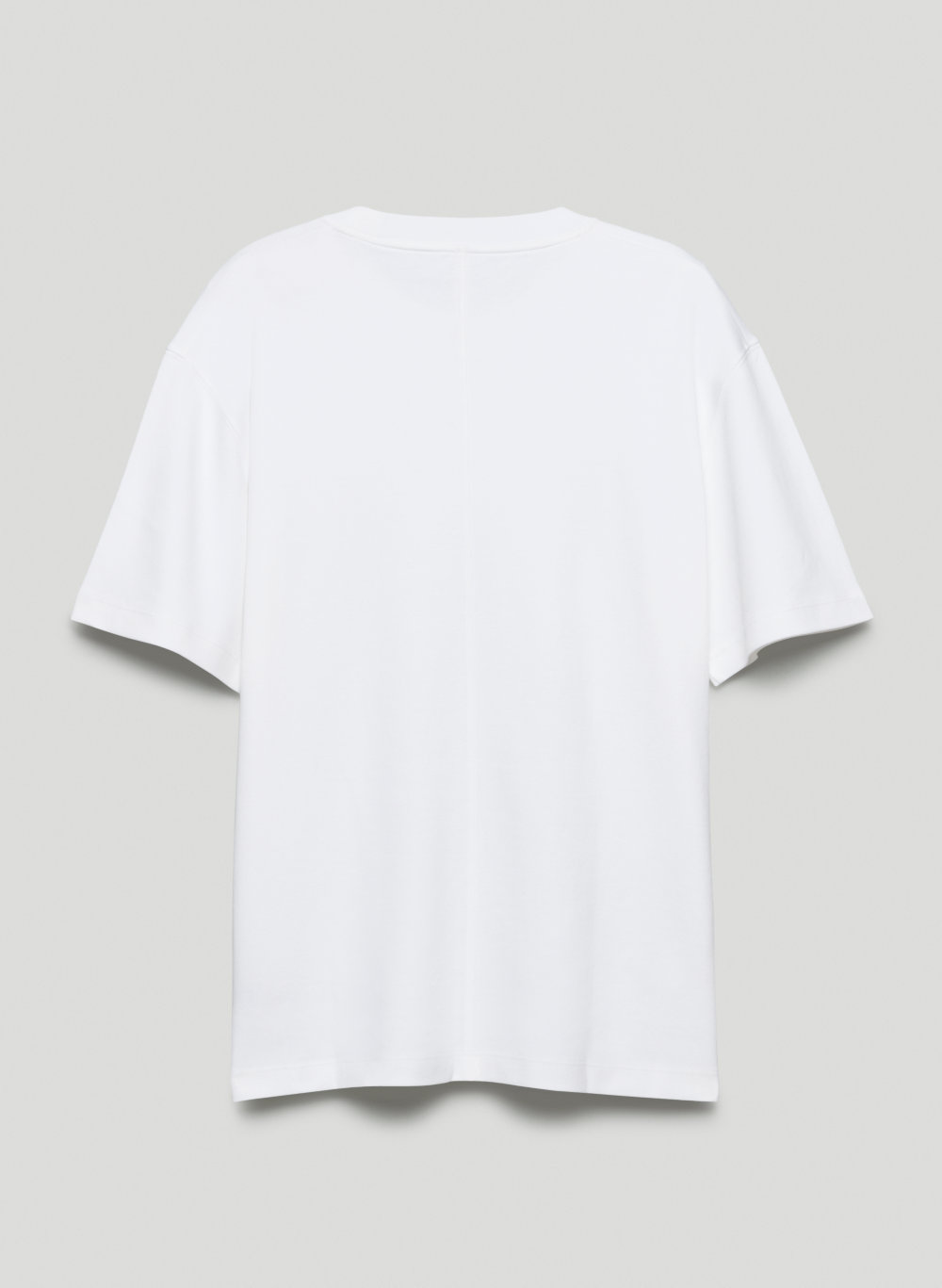 Babaton PEGASUS T-SHIRT | Aritzia INTL