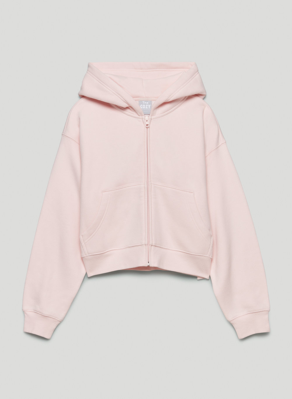 Tna COZY FLEECE BOYFRIEND BOXY ZIPUP HOODIE Aritzia CA