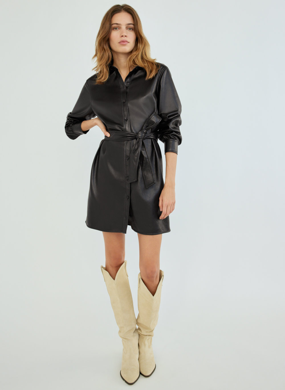 aritzia leather dress