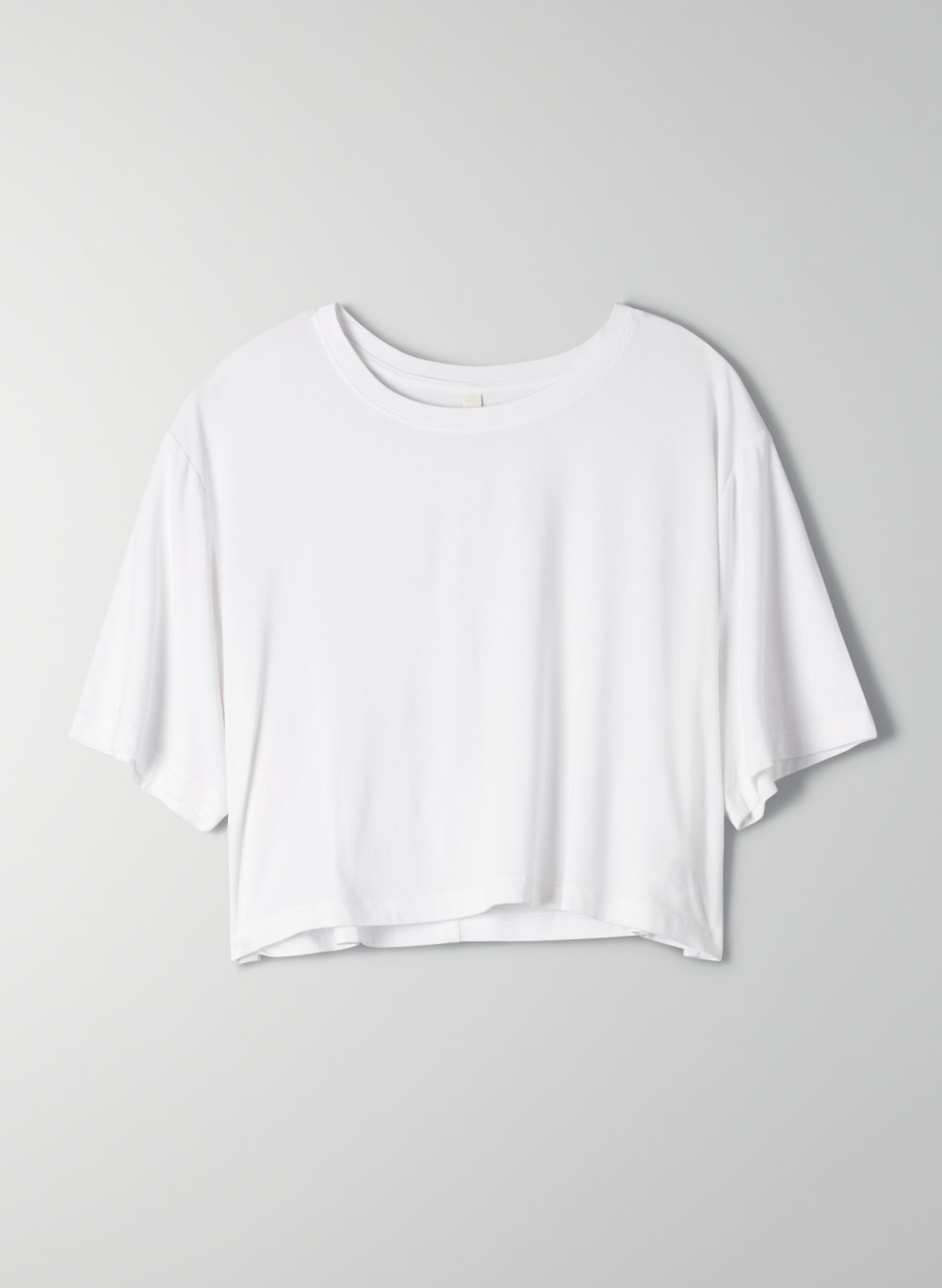 The Group by Babaton FOUNDATION CROPPED T-SHIRT | Aritzia US