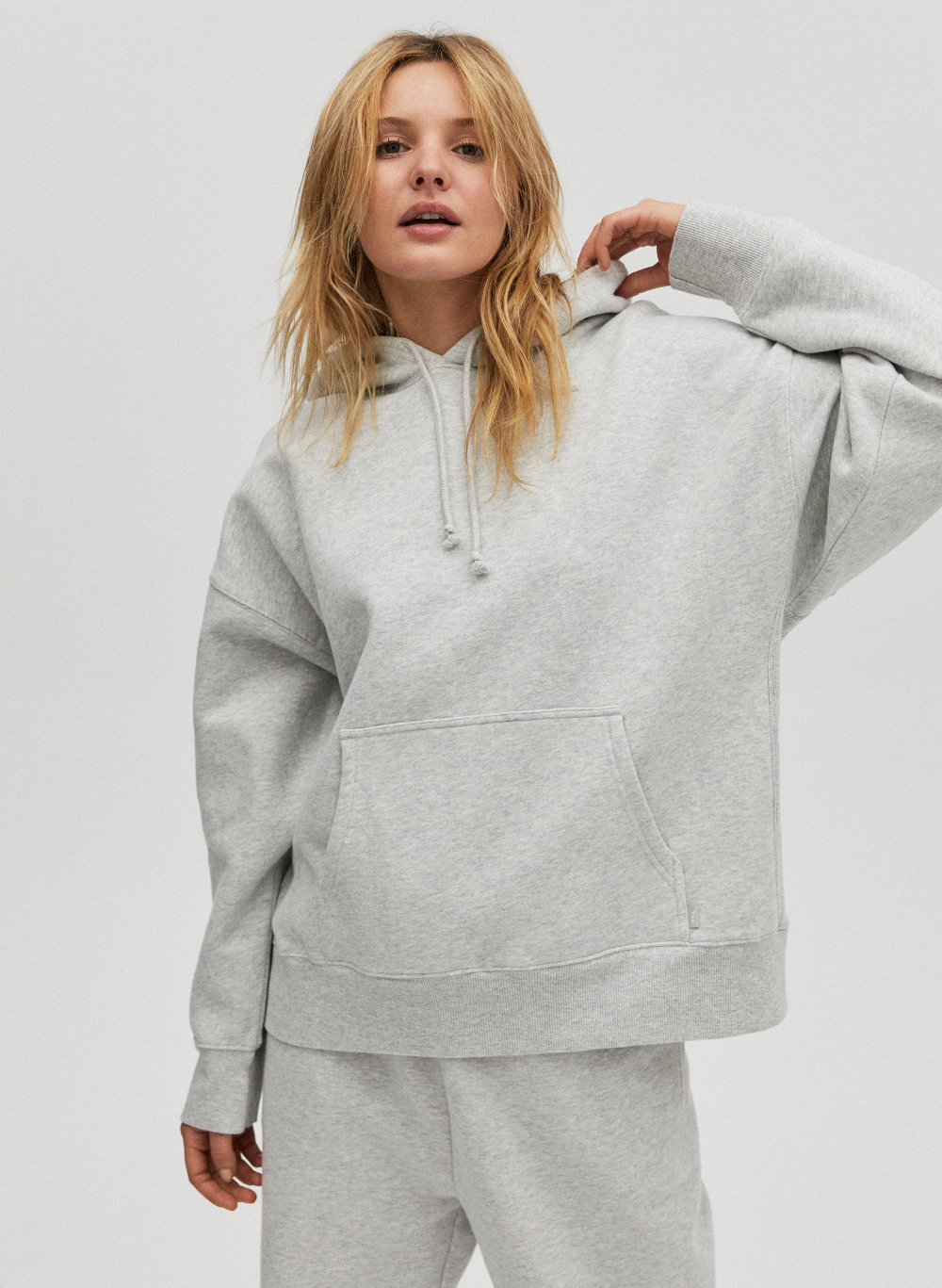 aritzia boyfriend hoodie