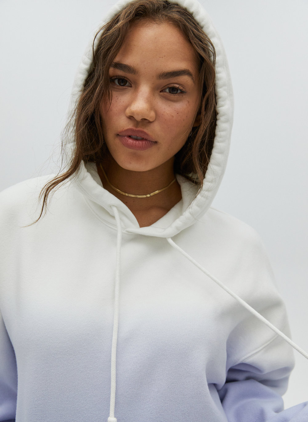 aritzia boyfriend hoodie