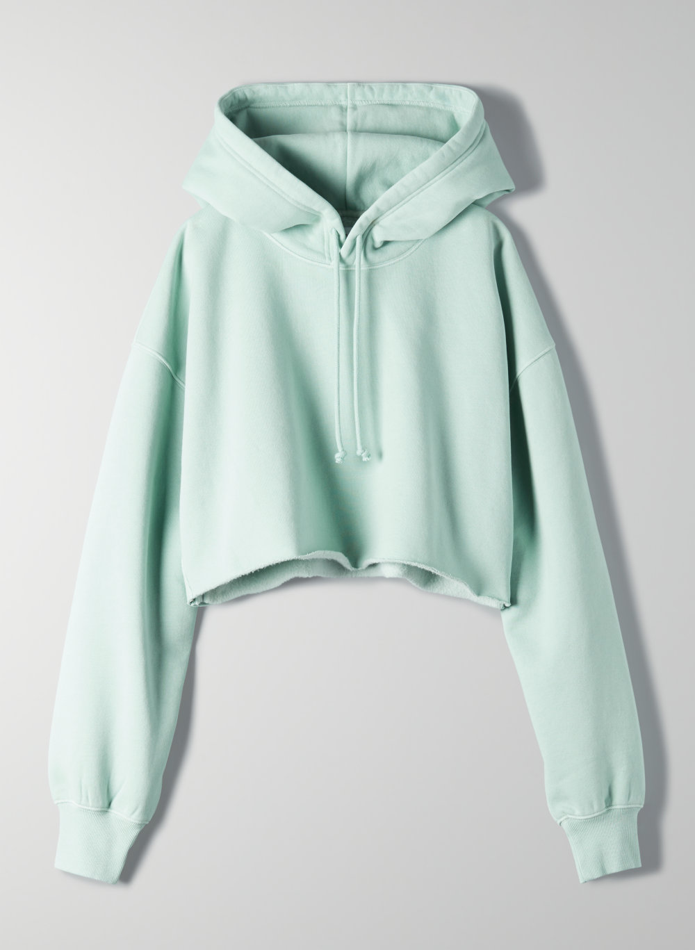 Tna BOYFRIEND CROP HOODIE Aritzia US