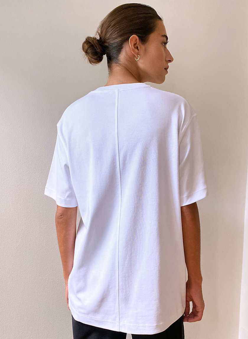 aritzia pegasus t shirt