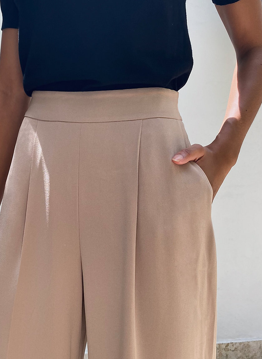 Babaton TIO PANT | Aritzia US